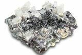 Pristine Goshenite Crystals with Fluorite and Schorl - Namibia #322777-2